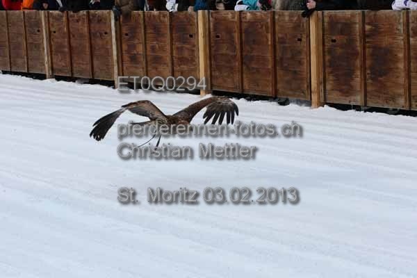 ET0Q0294 prot